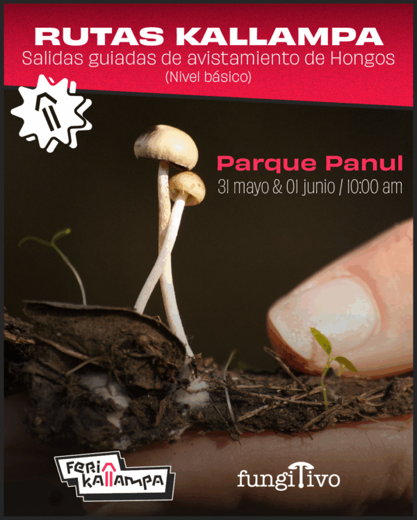 Salida Panul 31 de Mayo / 01 de Junio