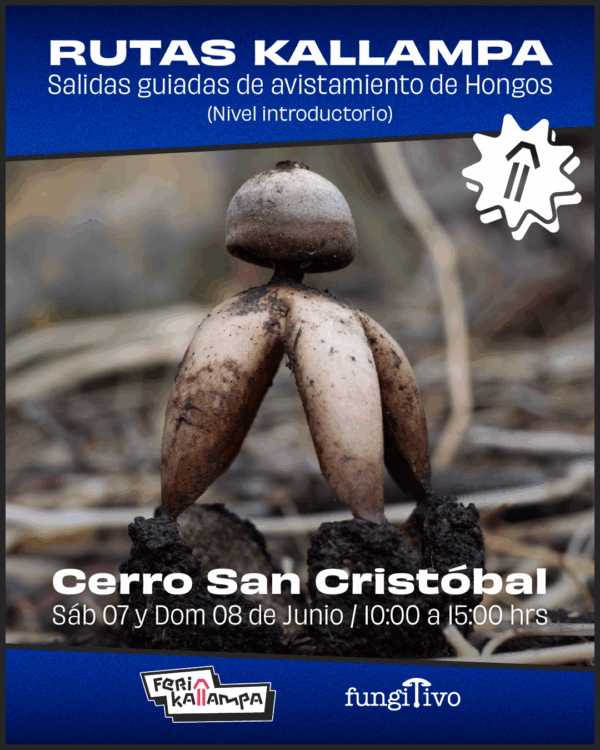 Salida San Cristóbal 7 & 8 Junio